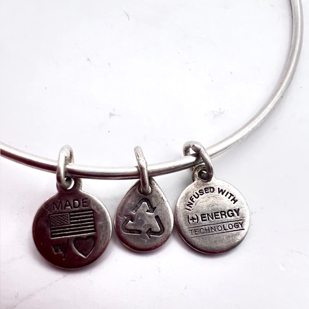 Alex and Ani Canada Maple Leaf Charm Bangle Bracelet Silver Tone 2014 - Picture 6 of 6